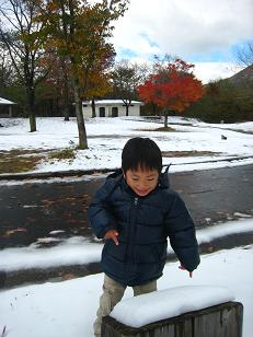 紅葉と初雪