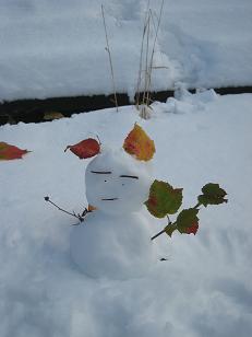 紅葉と初雪