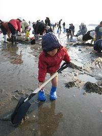 2015 新舞子で潮干狩り