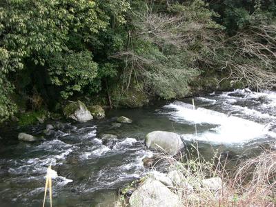 渓流釣り、上流域へ