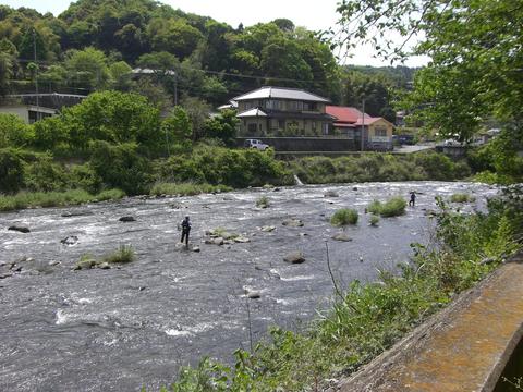 狩野川鮎試し釣り