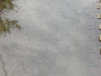 カネヒラ狙いも．．．