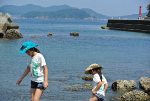 夏旅    ①