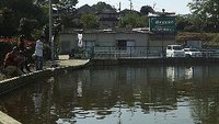 ブリーズはブリーズ。