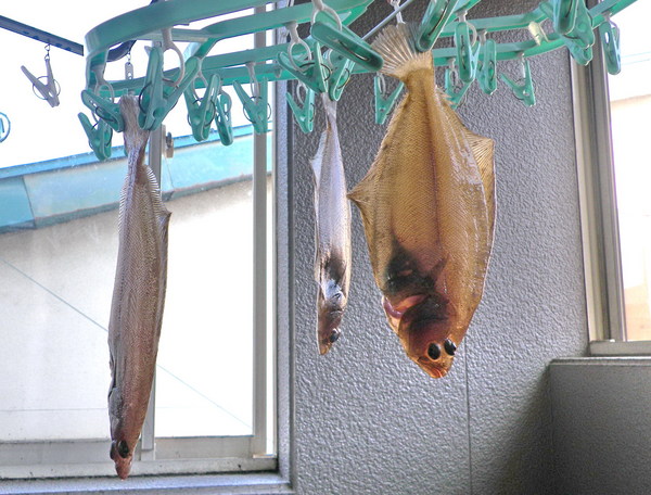 百石沖船カレイに大満足