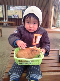 サファリ！