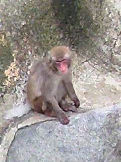 動物園！