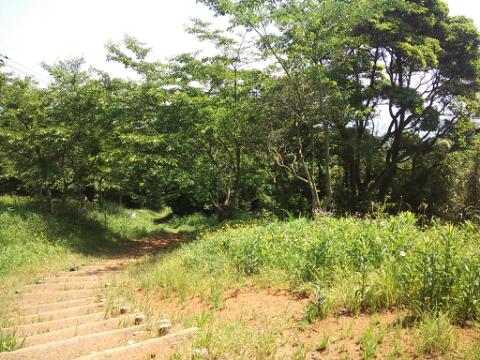 竜王山散策中