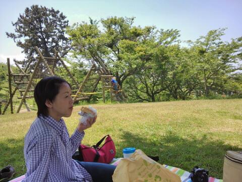 竜王山散策中