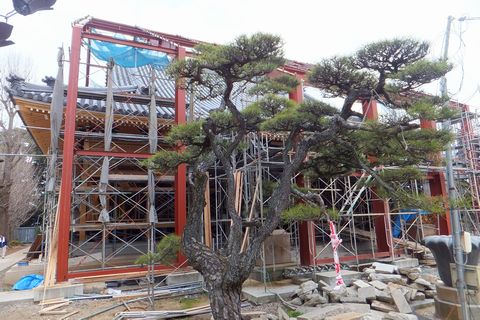 菩提寺