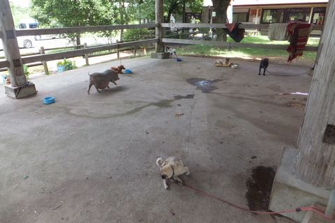 竹原牧場（キャンプ場レポ）