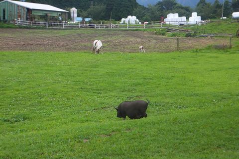 竹原牧場（キャンプ場レポ）