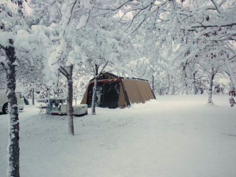 雪中の朝