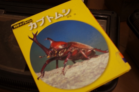 お勉強中！