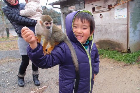 サファリ堪能①