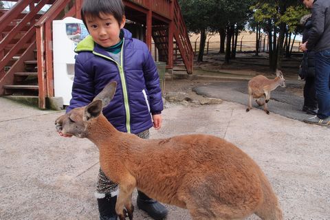 サファリ堪能①