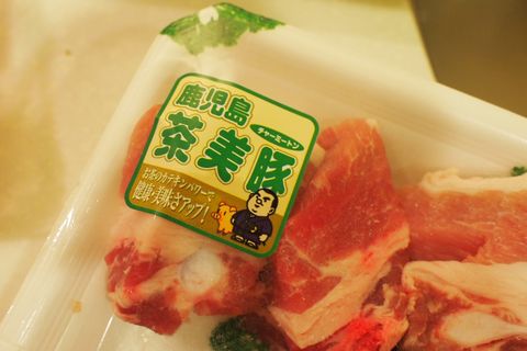 デビュー待ち！