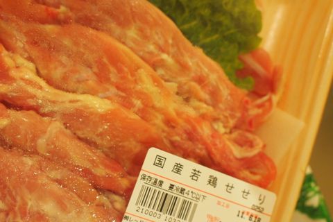 デビュー待ち！