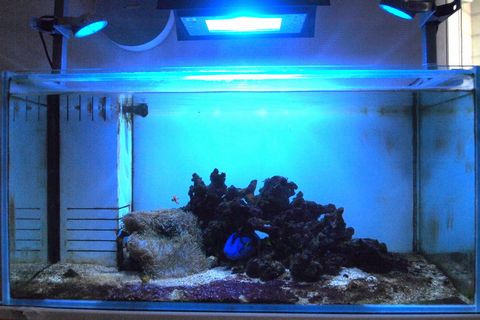 水槽掃除！