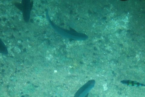 遠征キャンプ（その②）白浜観光編