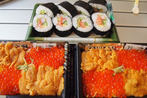 遠征キャンプ（その②）白浜観光編