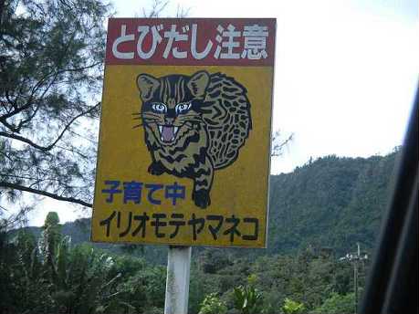 八重山　石垣島　４日目