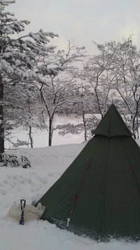 白馬山中 朝です〜！ 2010/01/24 07:45:55