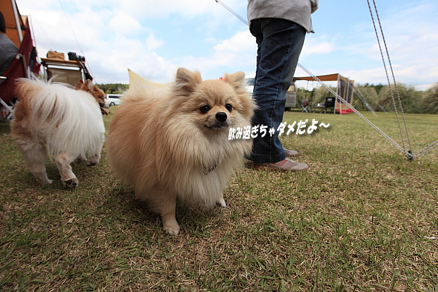 第１２回SPDC（スノーピークドッグクラブ）オフ会　最終日
