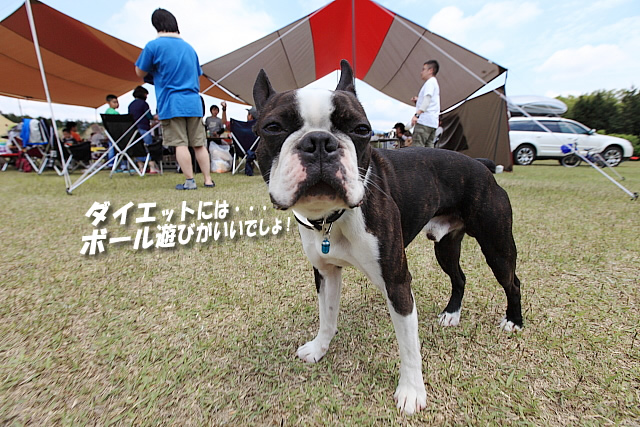 第１２回SPDC（スノーピークドッグクラブ）オフ会　最終日
