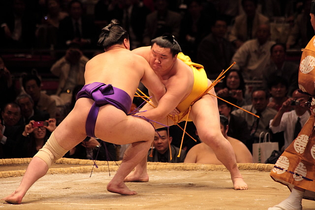 Sumo wrestling
