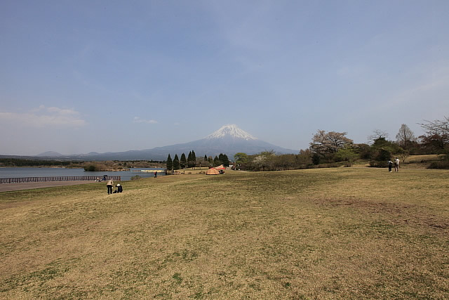 富士山犬連れ田貫湖キャンプ