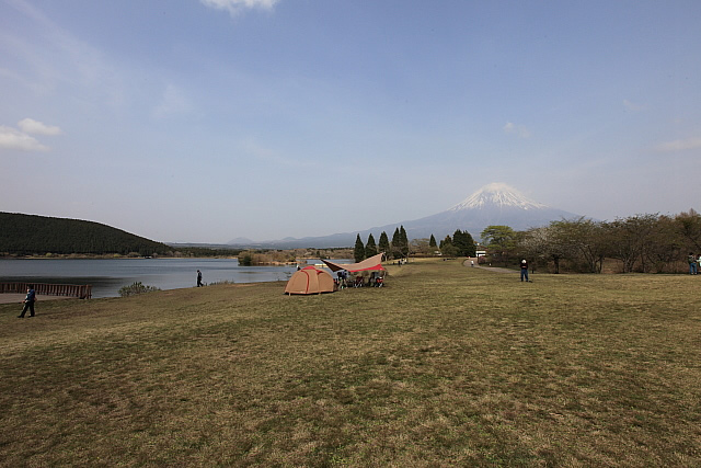 富士山犬連れ田貫湖キャンプ