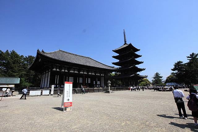 興福寺（世界遺産）の東金堂と五重の塔