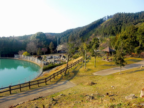 若杉楽園キャンプ場・一本松公園キャンプ場