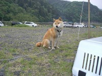 ２連結撤収 2011/05/12 23:26:35