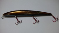 ダイワの０９秋ソルトカタログ
