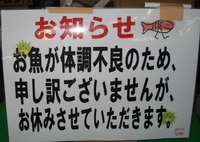 ドクターフィッシュ 2011/08/23 03:57:57