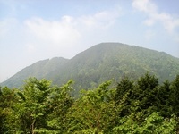 バカップルのお陰でぶち壊しを写真家とカモシカに救われる 2011/05/21 04:59:53