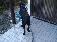 ジレンマ 2011/04/13 03:30:23