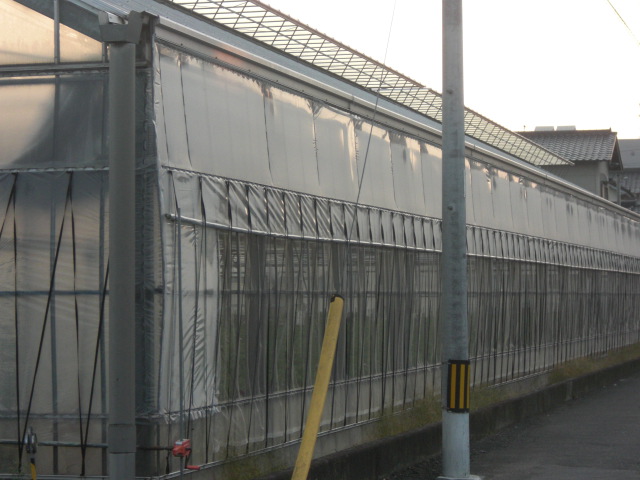 一回の馴らし運転ではしっくり来ず・・・・新しい靴