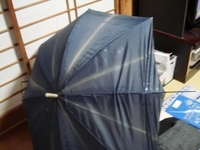 さすがっ！ 2011/06/02 04:24:17