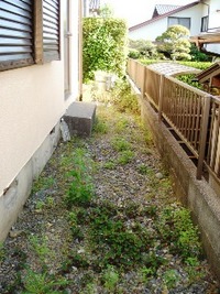きれいになって良い気持ち 2011/05/19 04:11:37