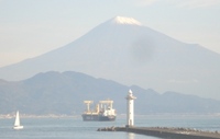 今年ももうこんな時期 2011/11/14 03:41:24