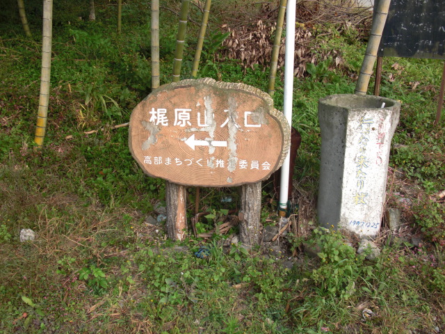 一回の馴らし運転ではしっくり来ず・・・・新しい靴