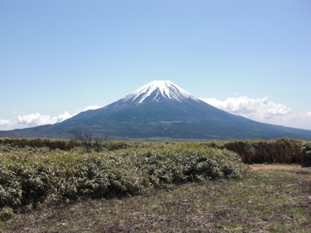 富士山がでかいっ！ルンルン山歩きは毛無山～竜ヶ岳