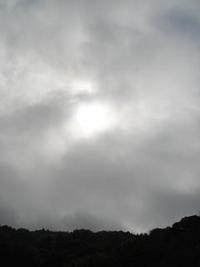 里山な１日（午前の部） 2011/04/17 04:41:15