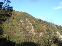 ただいま！ 2011/11/26 15:26:18