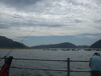 海釣り