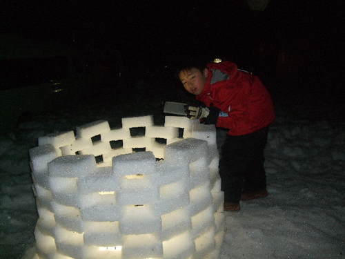 初雪中キャンプ　　大見いこいの広場