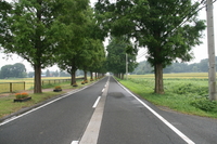 スターターＷＡＹ　１